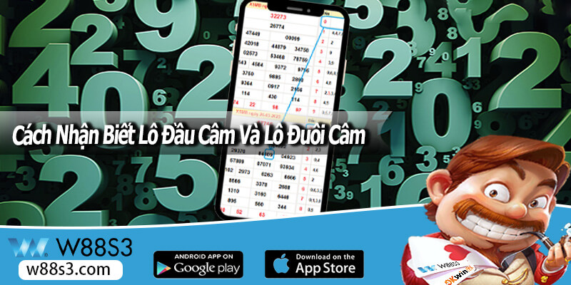 Cách Nhận Biết Lô Đầu Câm Và Lô Đuôi Câm